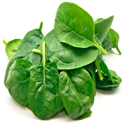 class image not found!